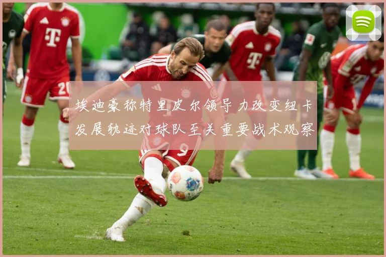 埃迪豪称特里皮尔领导力改变纽卡发展轨迹对球队至关重要战术观察-深度解析