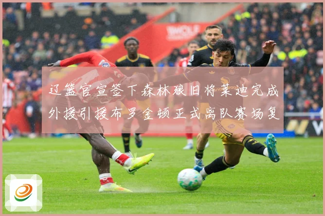 辽篮官宣签下森林狼旧将莱迪完成外援引援布罗金顿正式离队赛场复盘-深度解析