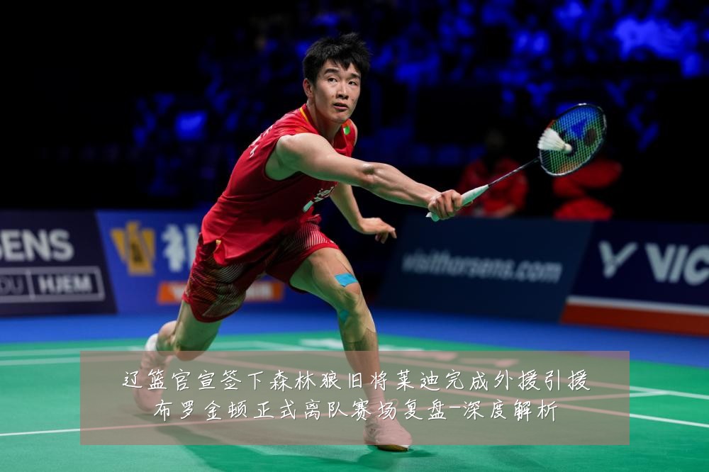 辽篮官宣签下森林狼旧将莱迪完成外援引援布罗金顿正式离队赛场复盘-深度解析